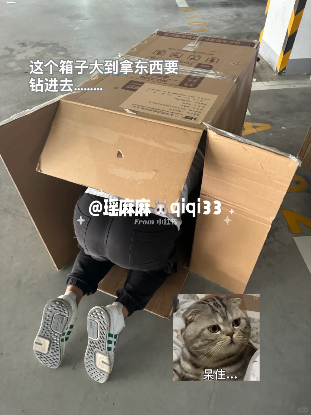 2025cbme我又来啦！！