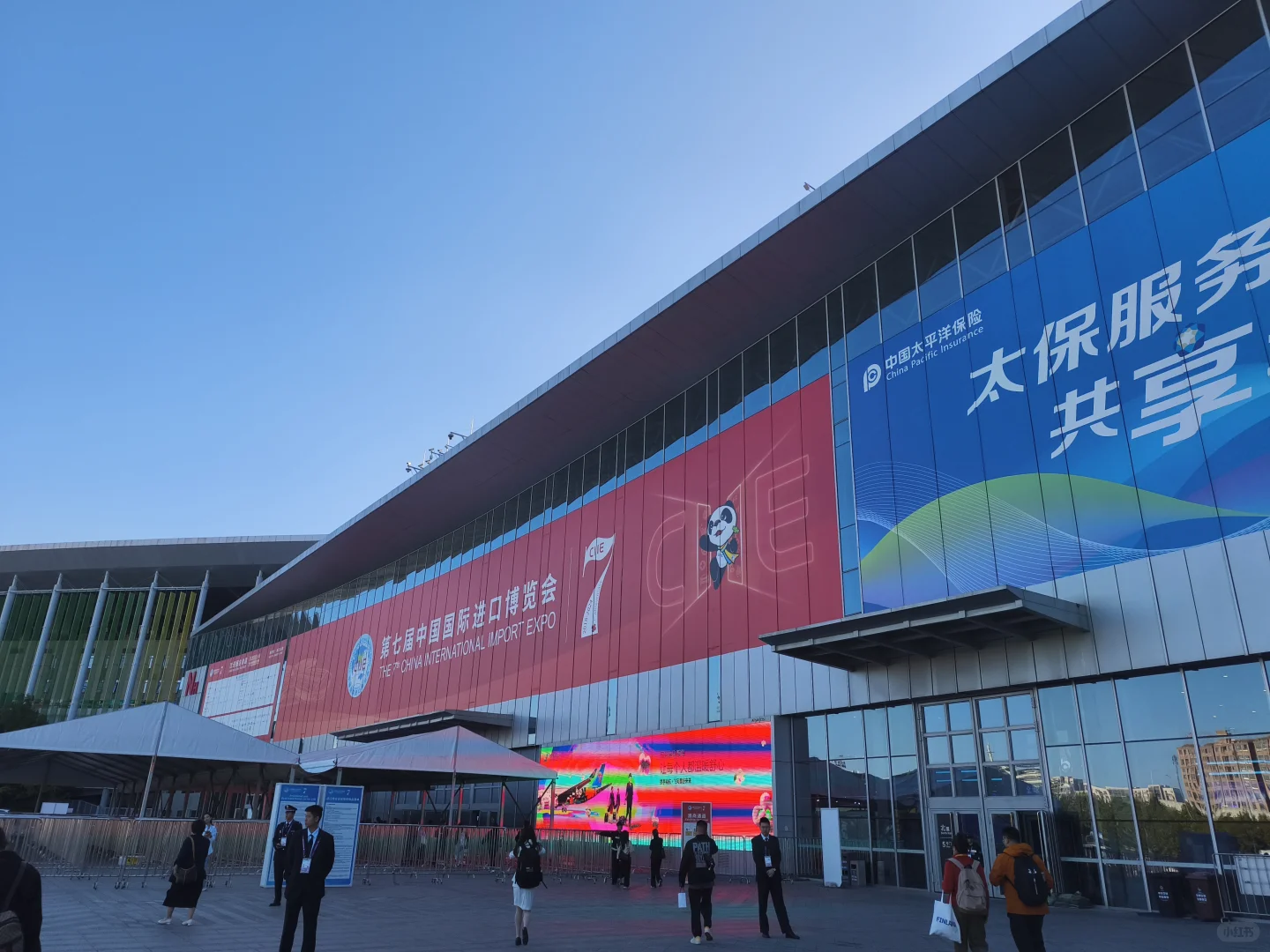 第8届进博会开始报名啦啦啦啦啦啦！！！！