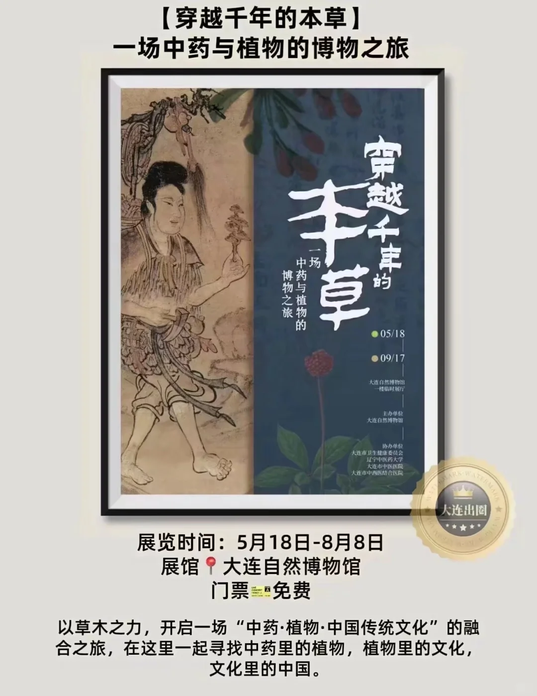 【大连8月展览】21场展览、博览会‼️10场免费✅