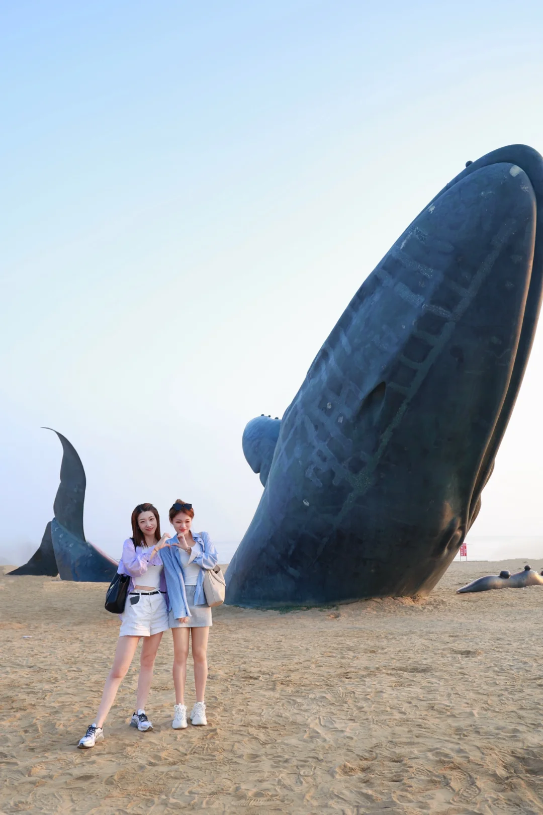 和闺儿难忘的烟台之旅——孤独的鲸