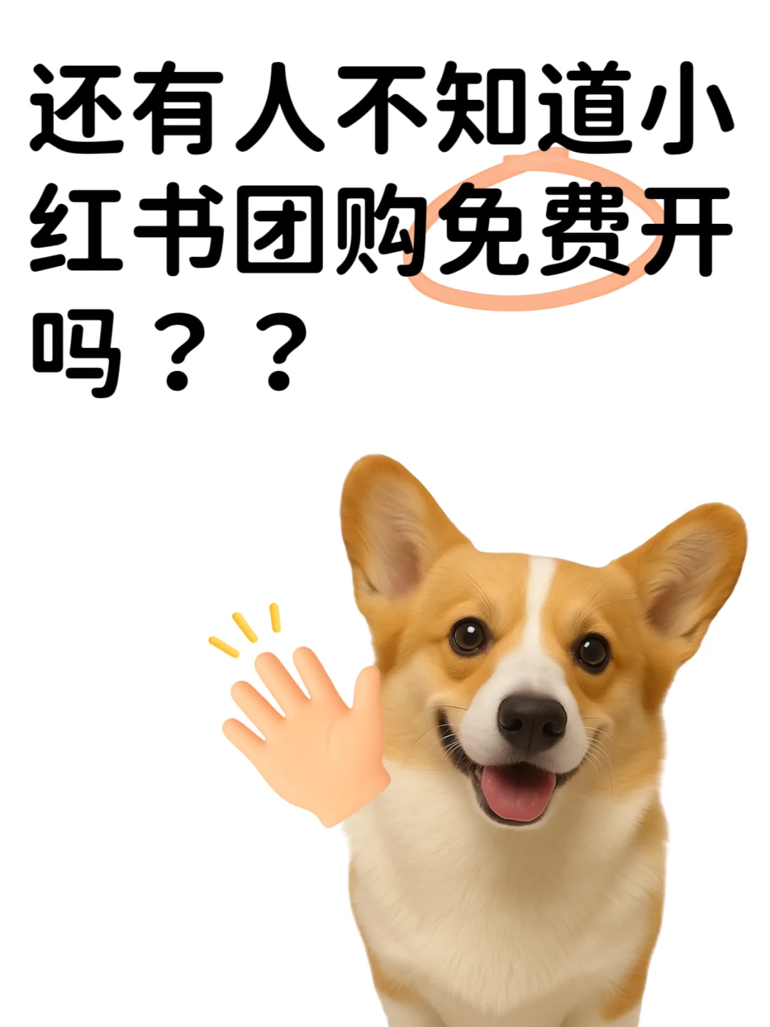 小红书团购店铺怎么开通？详细攻略分享?