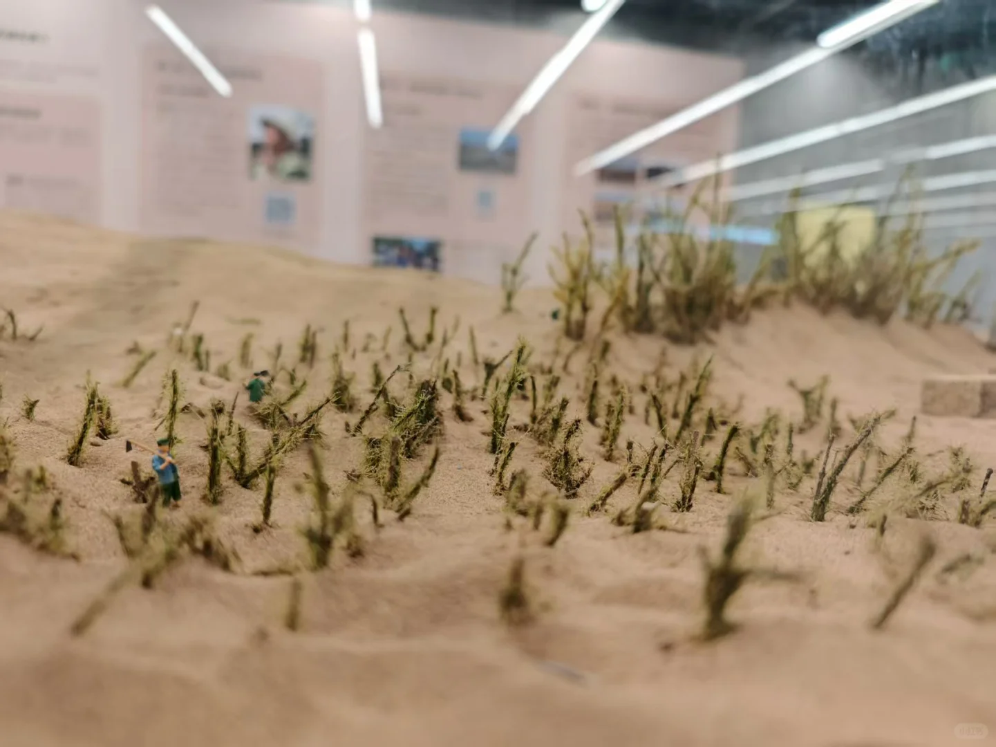 我们一起去保定自然博物馆看展啊?