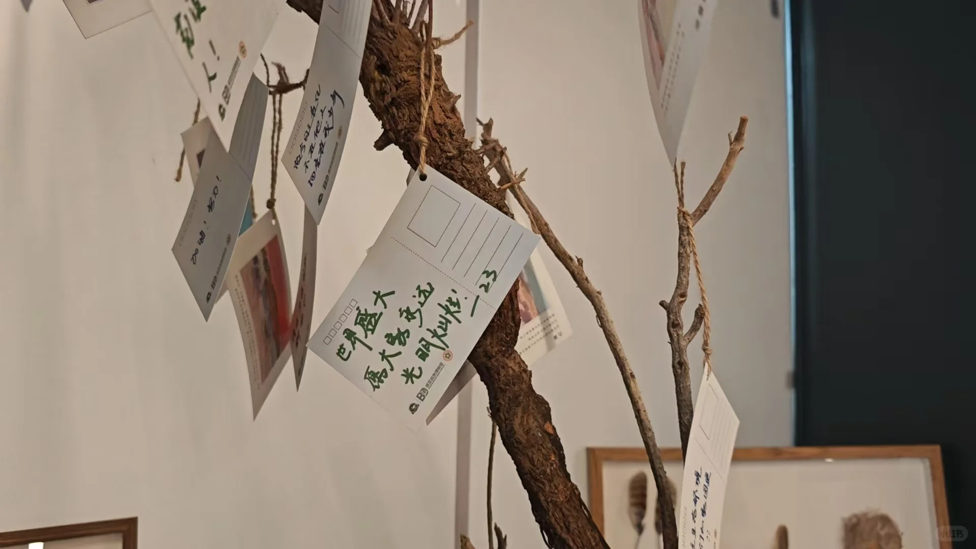 我们一起去保定自然博物馆看展啊?