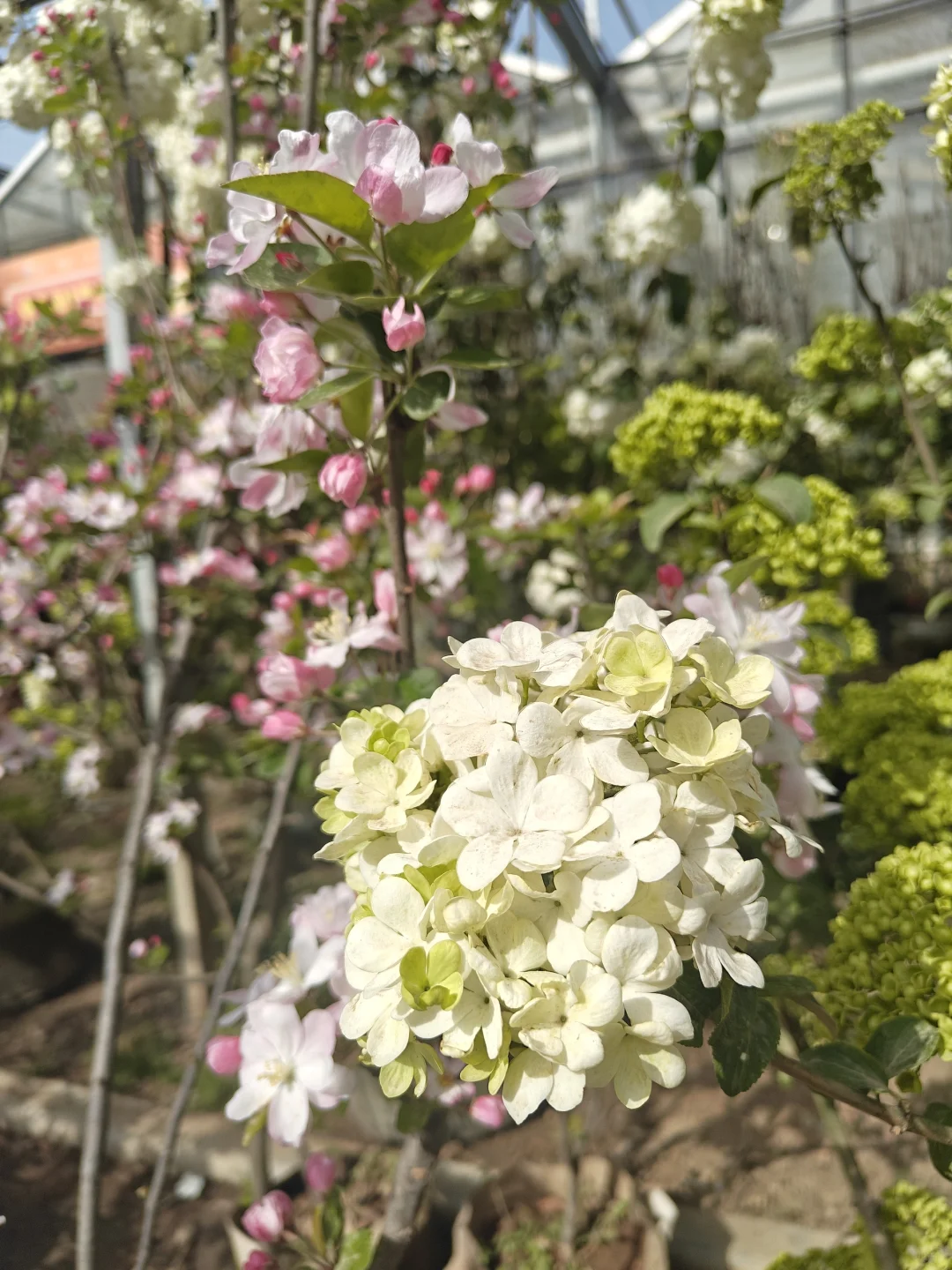 云服务采购人才！