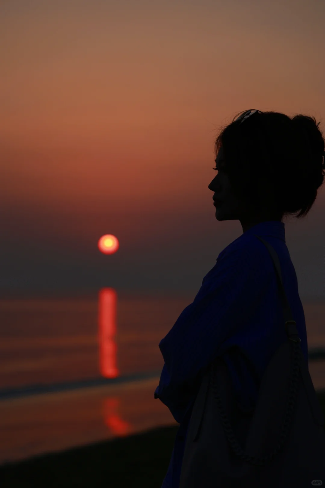 和闺儿难忘的烟台之旅——孤独的鲸