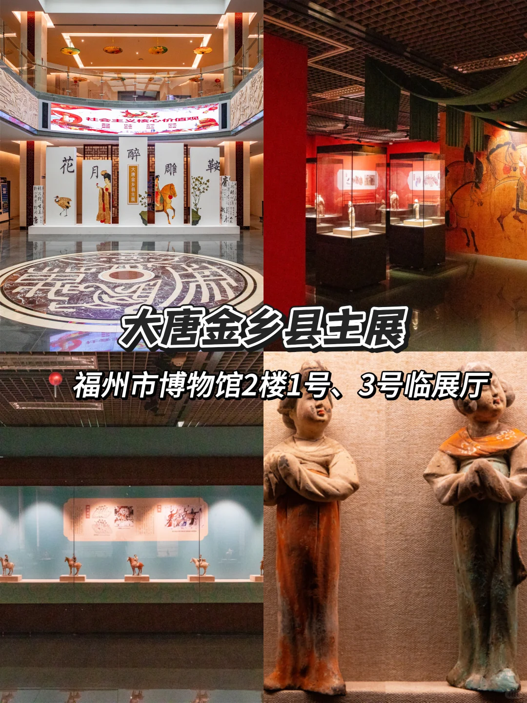 福州暑期看展指南｜9个必看高质量新展来啦