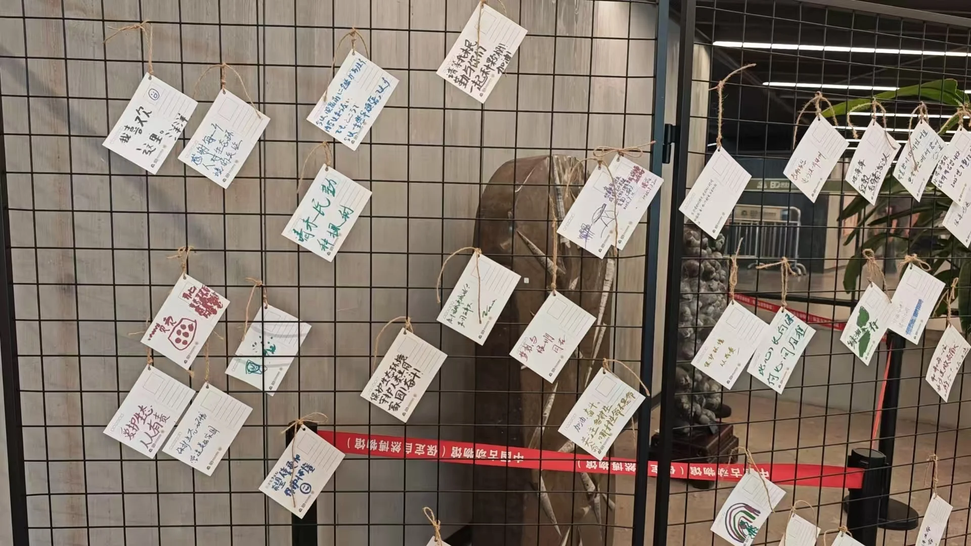 我们一起去保定自然博物馆看展啊?