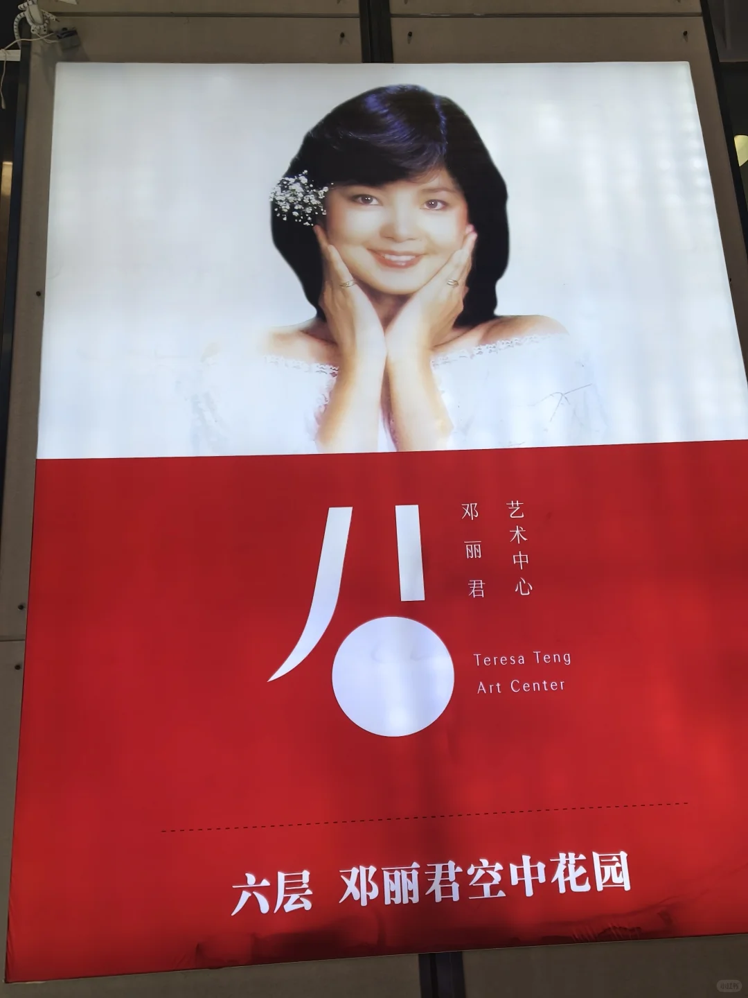 悠闲邯郸一日游