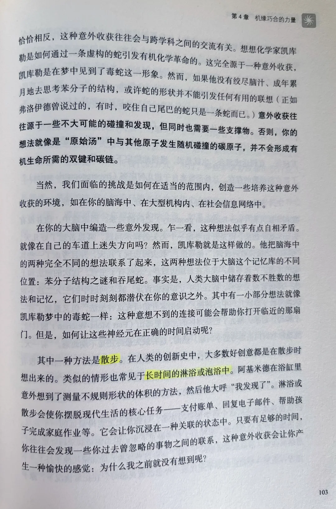 ? 从菌丝网络到商业裂变