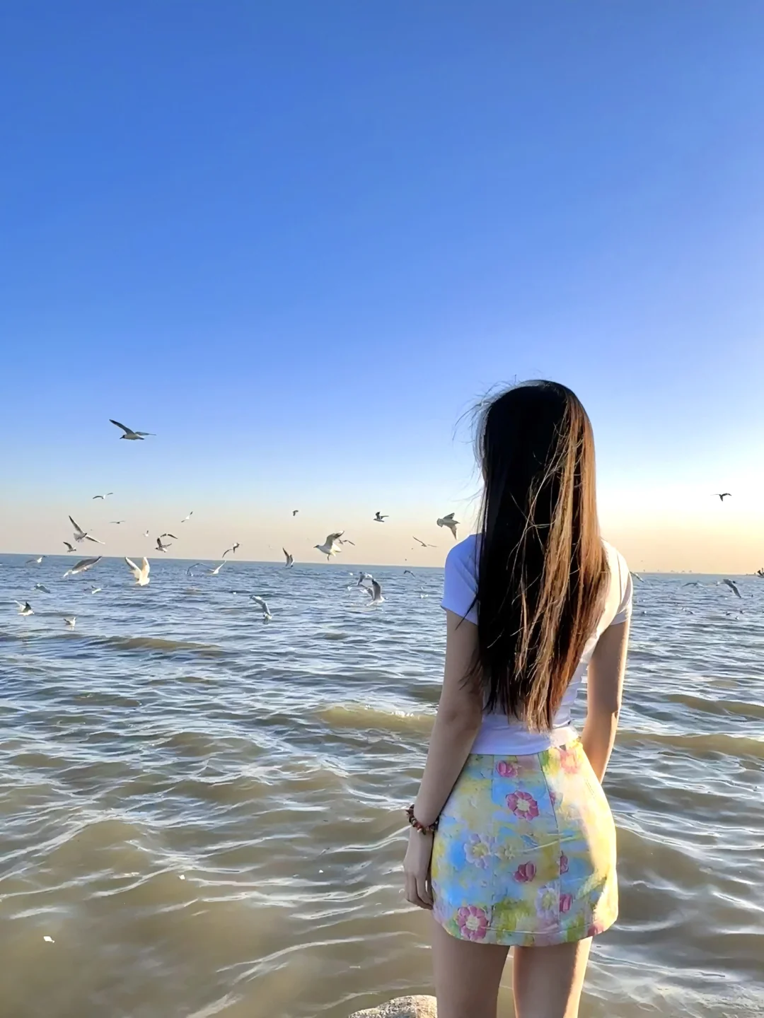 秦皇岛｜快落日的老虎石公园超级好拍?