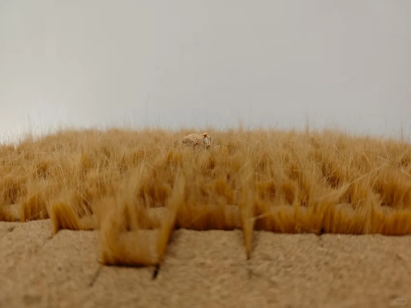 我们一起去保定自然博物馆看展啊?