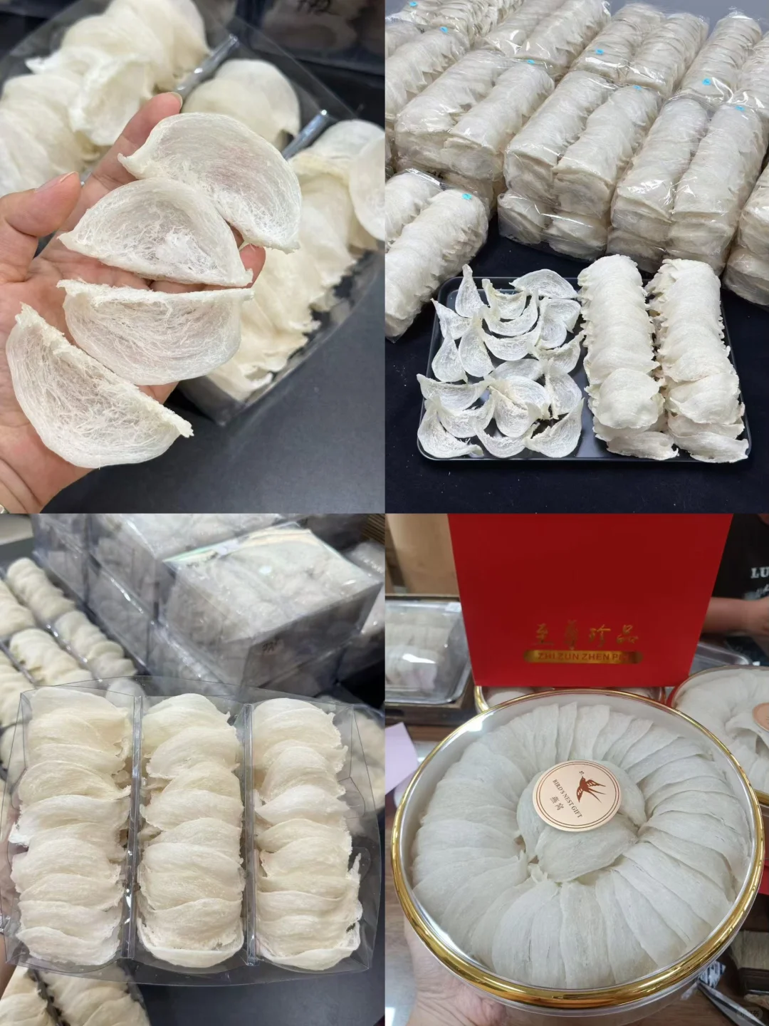 潮式养生正当时?8月必打卡健康展?