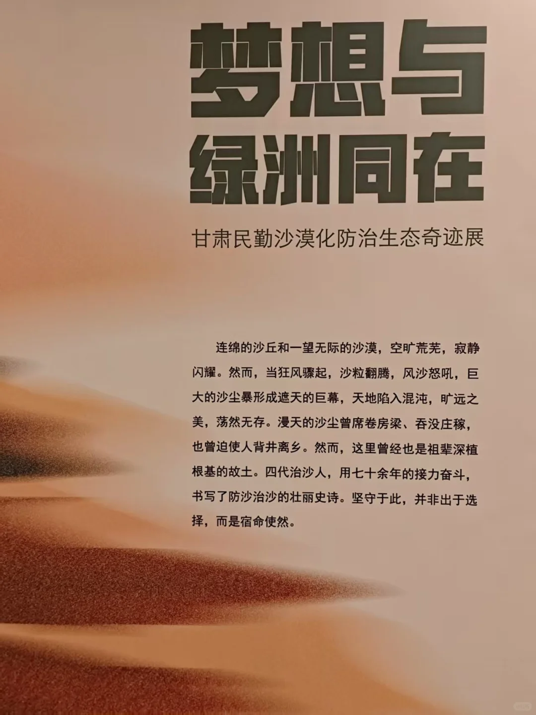 我们一起去保定自然博物馆看展啊?