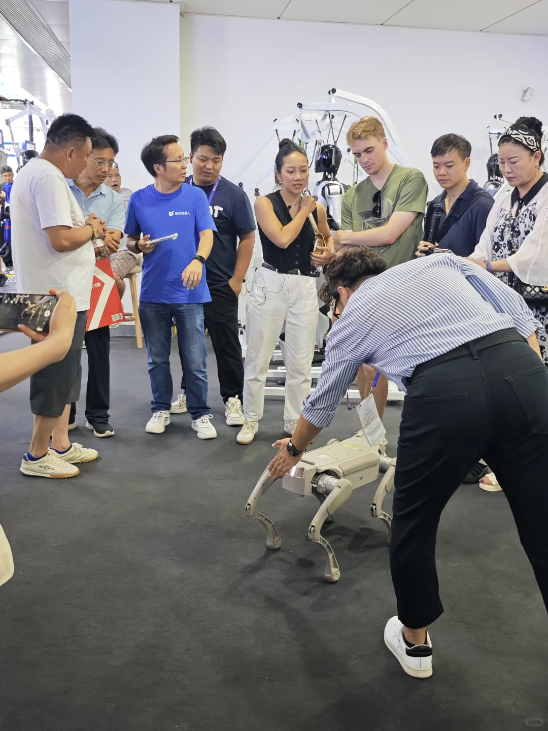 在WAIC2025看到了一些努力和挣扎