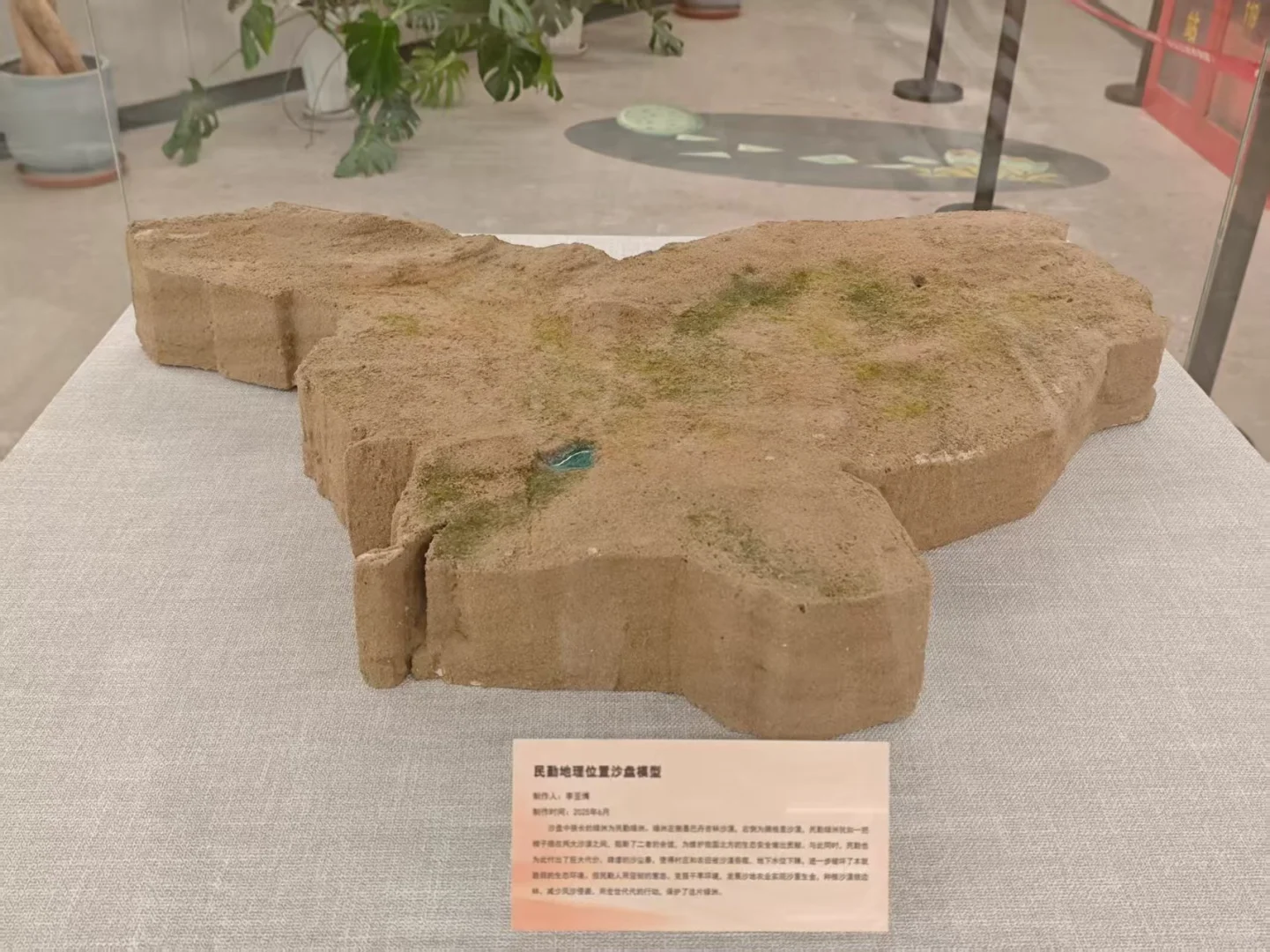 我们一起去保定自然博物馆看展啊?