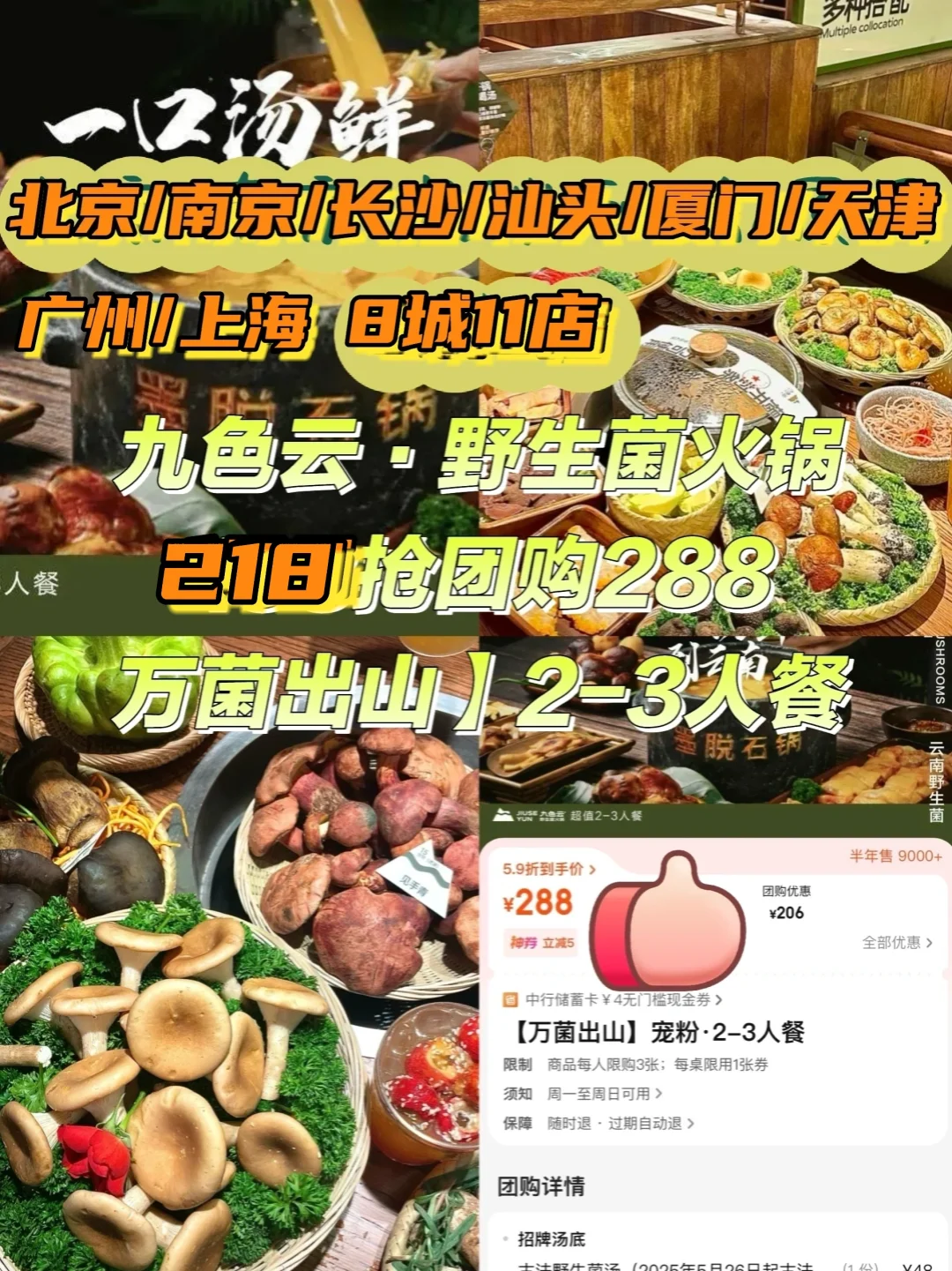 全国11店通兑‼人均73吃云南野生菌火锅?