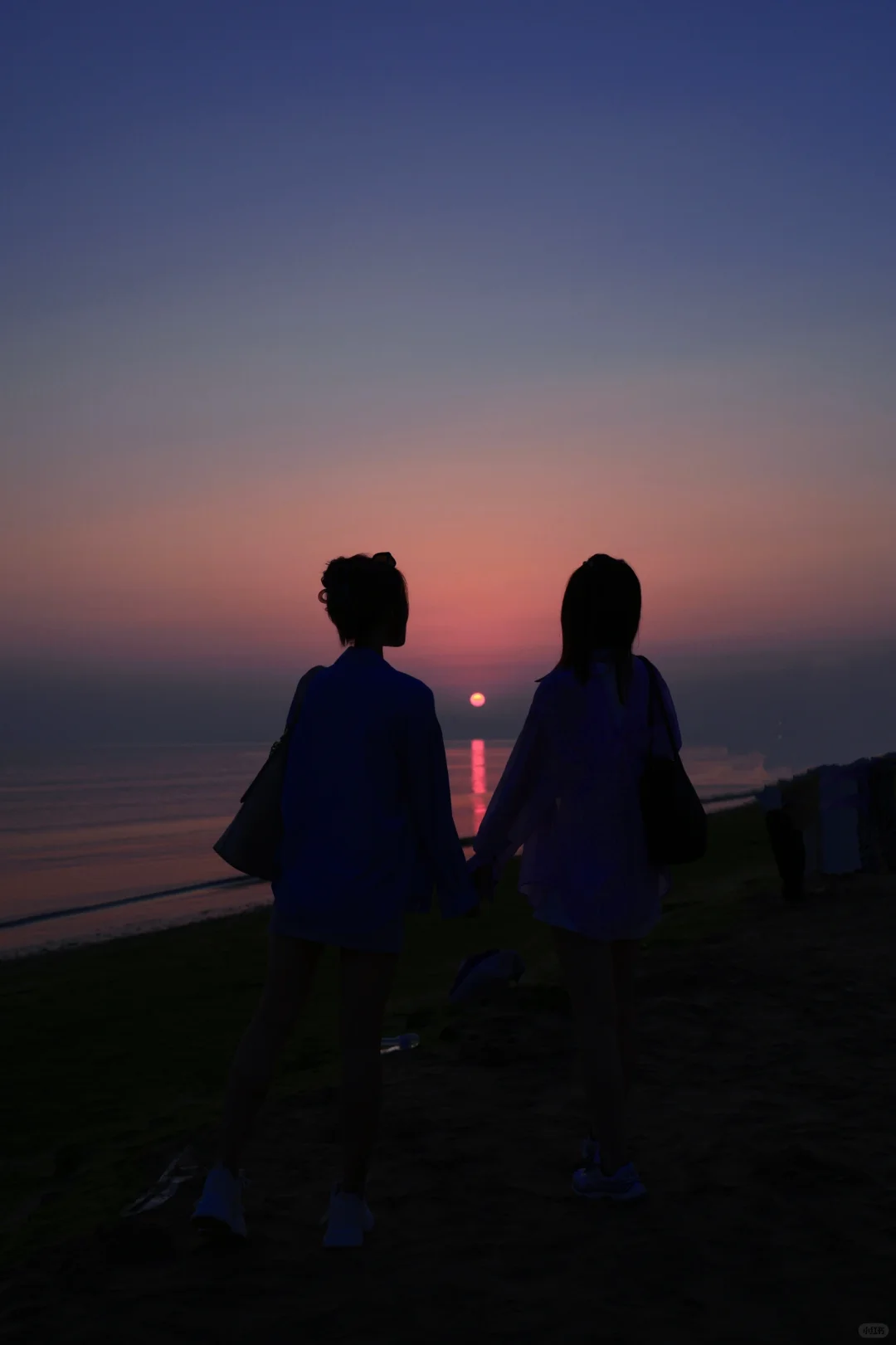 和闺儿难忘的烟台之旅——孤独的鲸