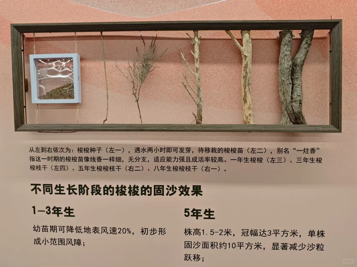 我们一起去保定自然博物馆看展啊?