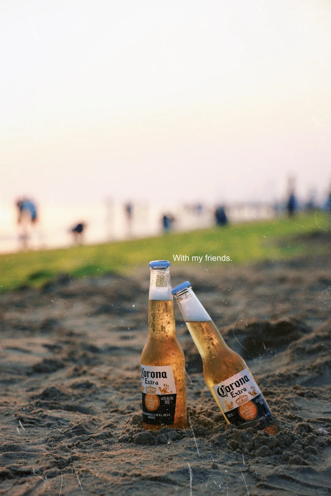 和闺儿难忘的烟台之旅——孤独的鲸