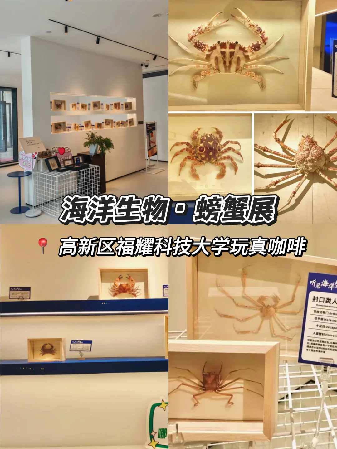 福州暑期看展指南｜9个必看高质量新展来啦