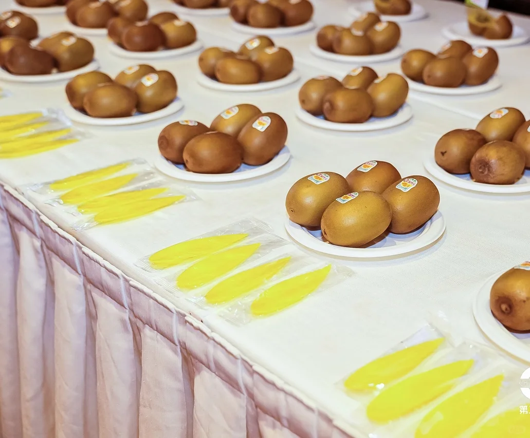 2024年中国营养师发展大会