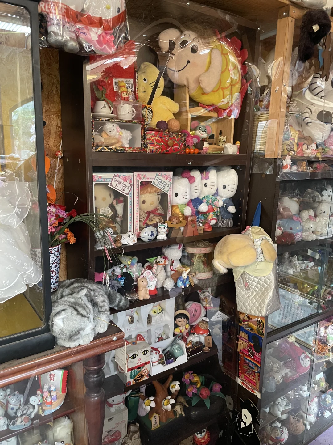 伊豆奇幻博览会，日本你太怪了