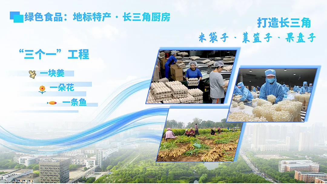 城市推介ppt制作