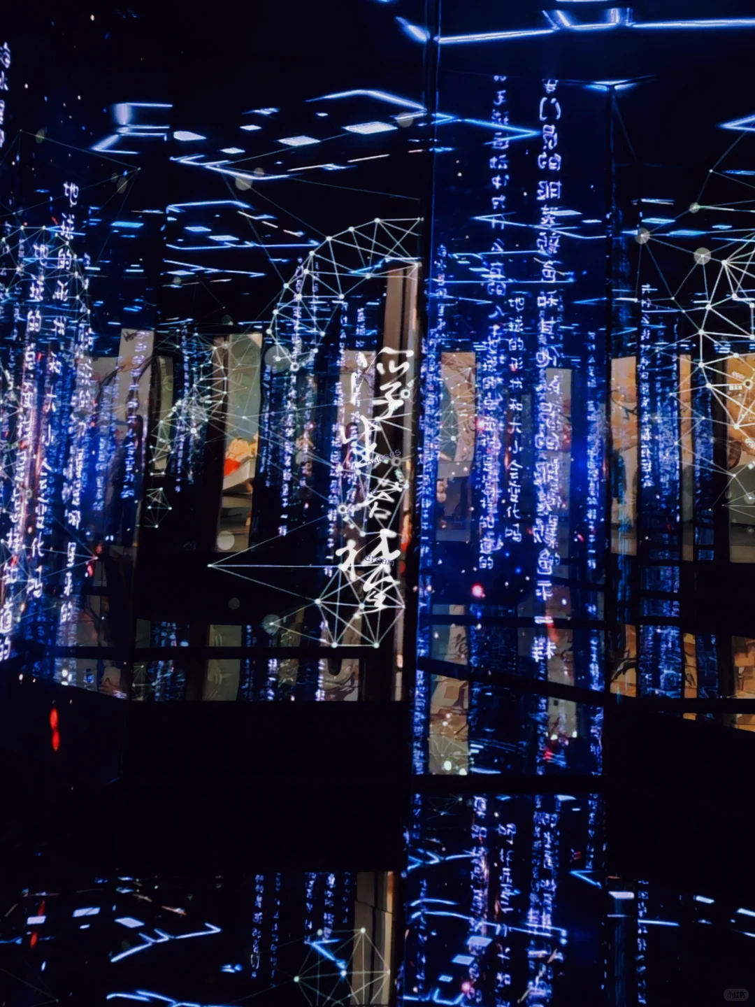 藏在博物馆里的老报纸✨