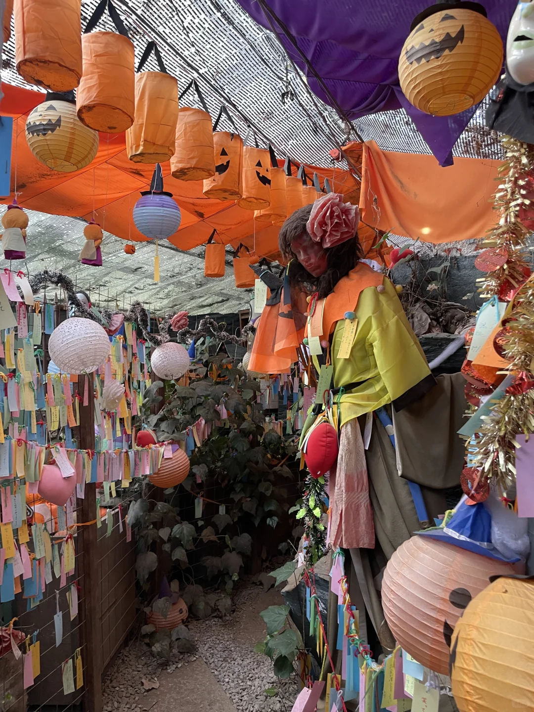 伊豆奇幻博览会，日本你太怪了