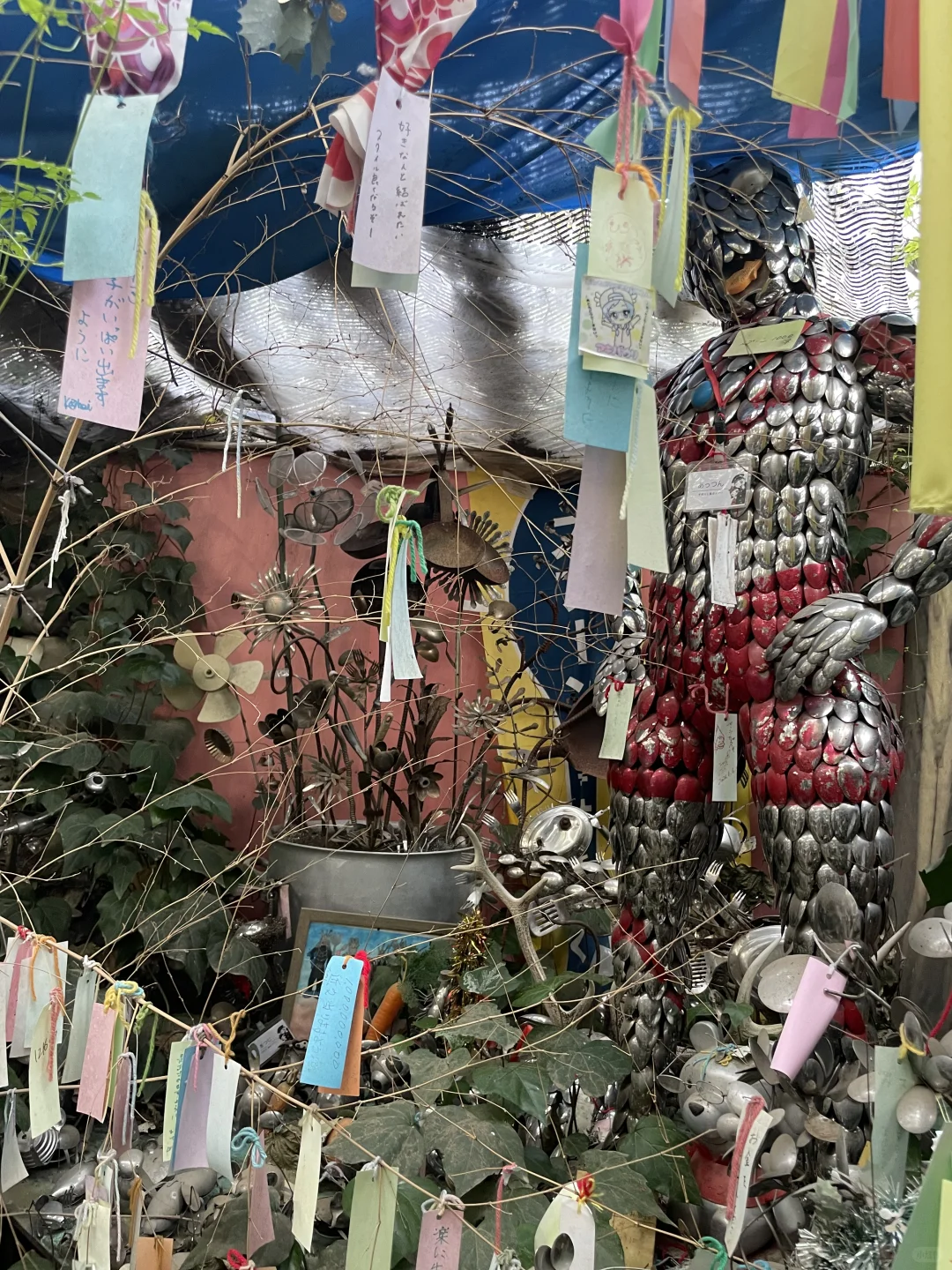 伊豆奇幻博览会，日本你太怪了