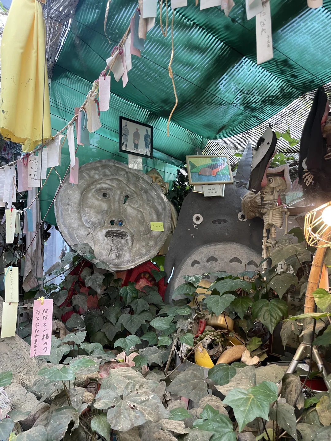 伊豆奇幻博览会，日本你太怪了