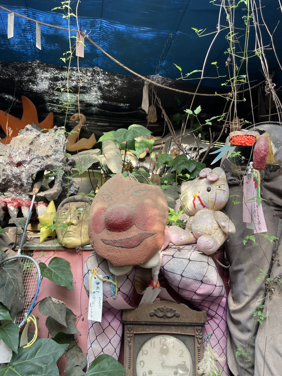 伊豆奇幻博览会，日本你太怪了