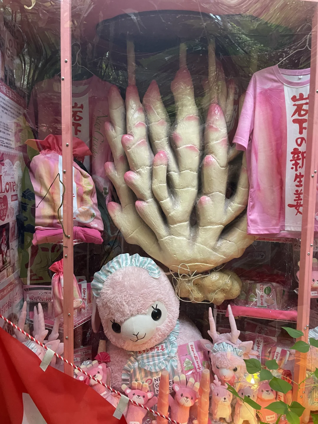 伊豆奇幻博览会，日本你太怪了