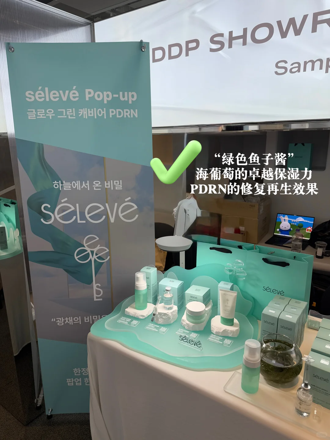 打破信息差‼️??东大门DDP夏季选品会