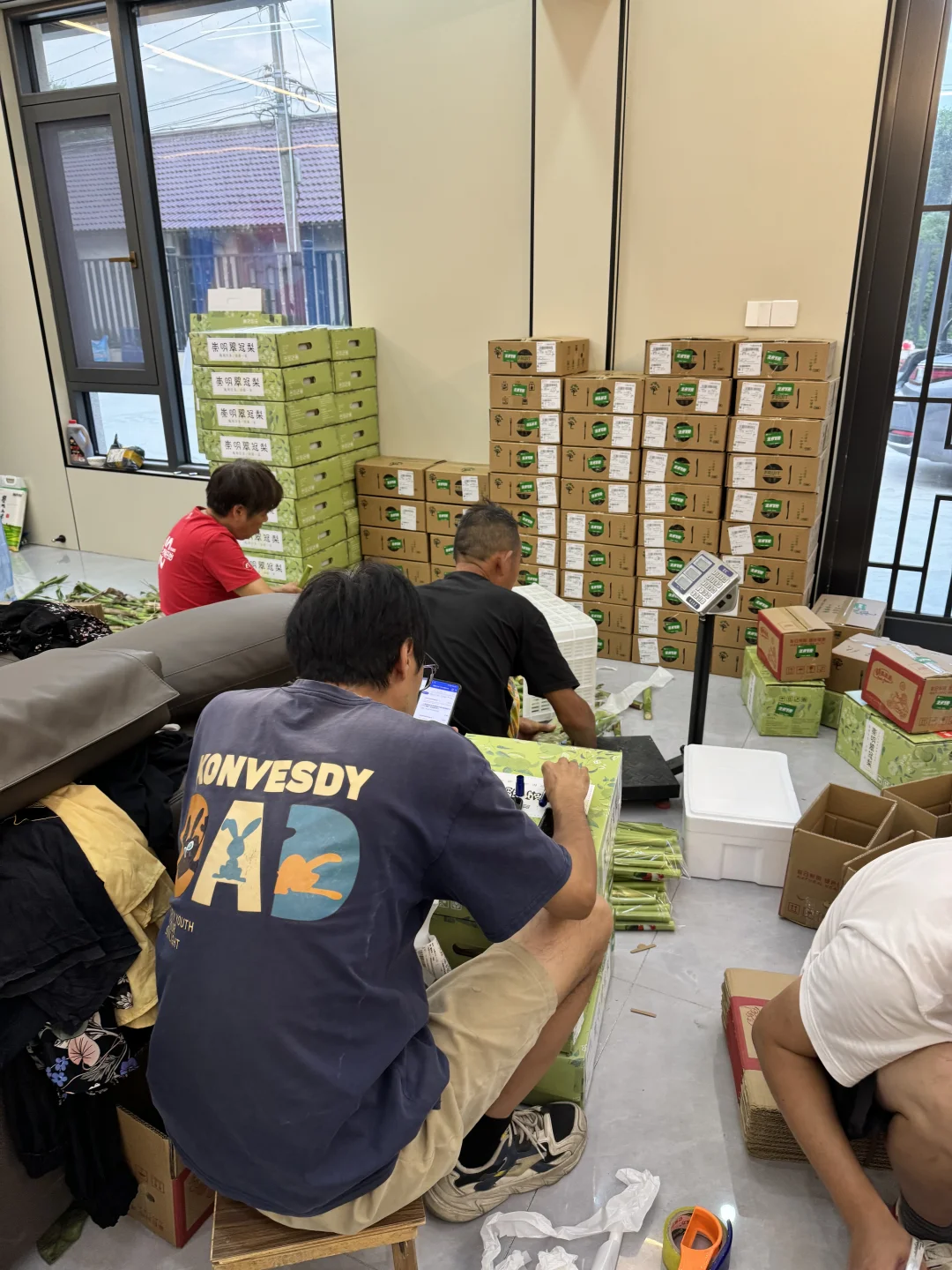 上海农展会爆款～崇明翠冠梨 友好市集