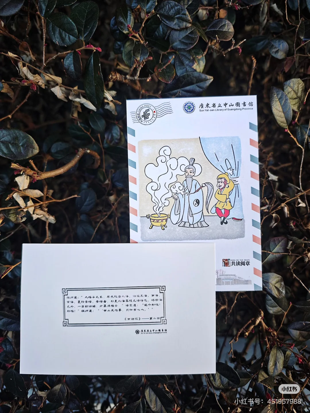 暑假打卡系列?四大名著限定套色章