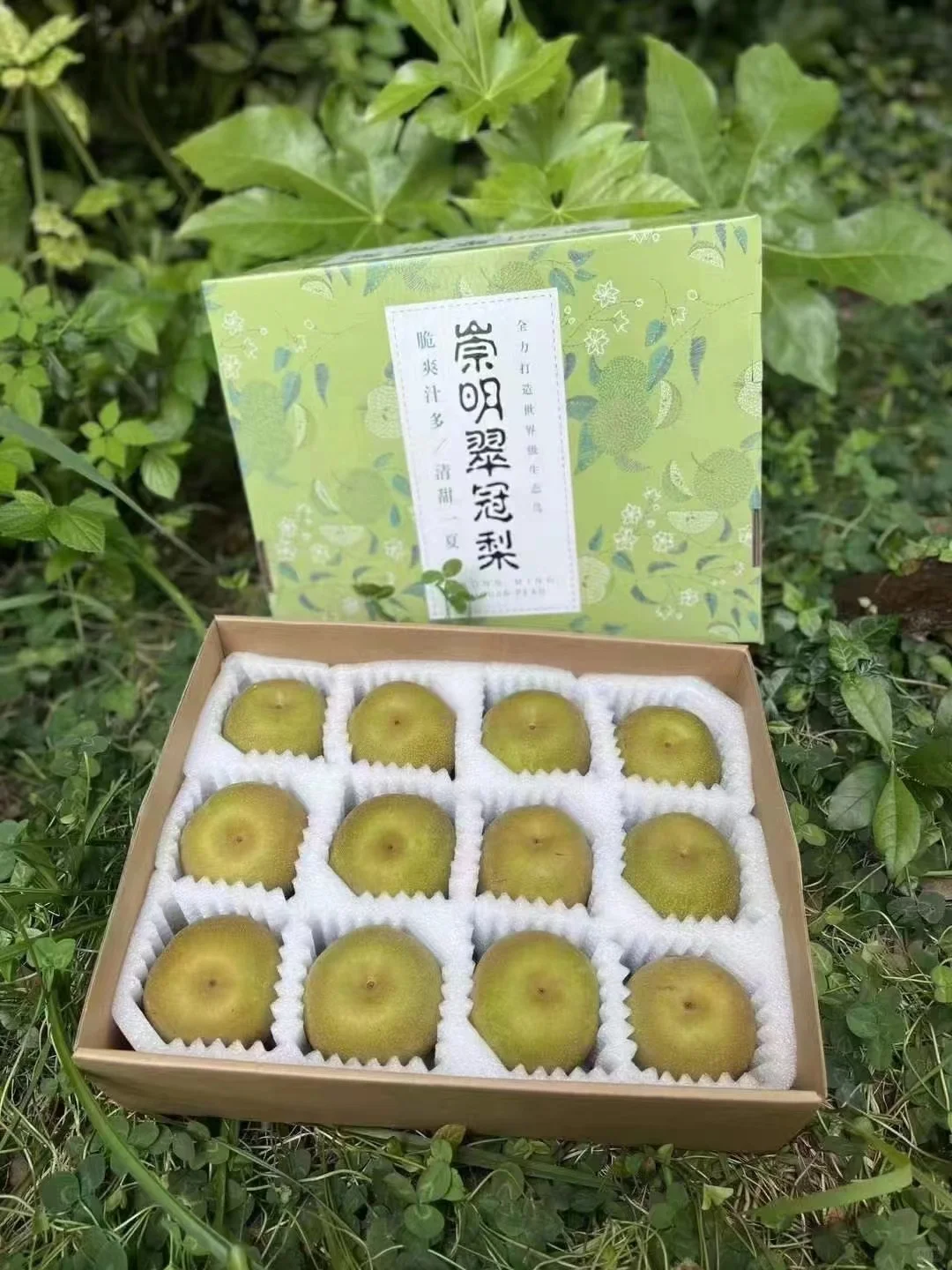 上海农展会爆款～崇明翠冠梨 友好市集