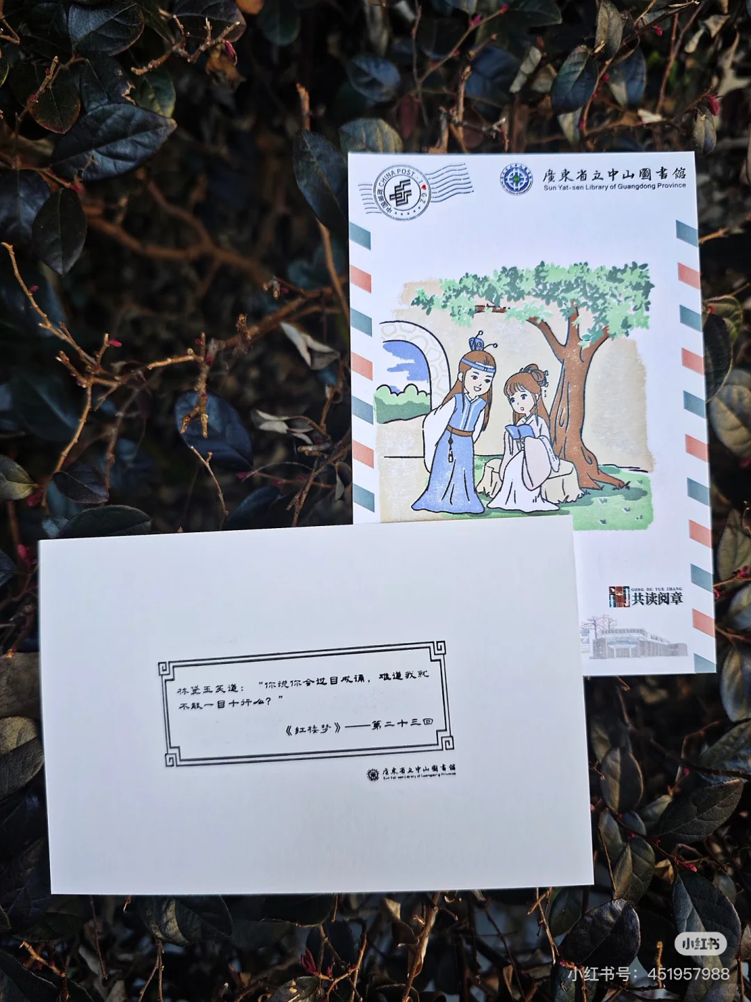 暑假打卡系列?四大名著限定套色章