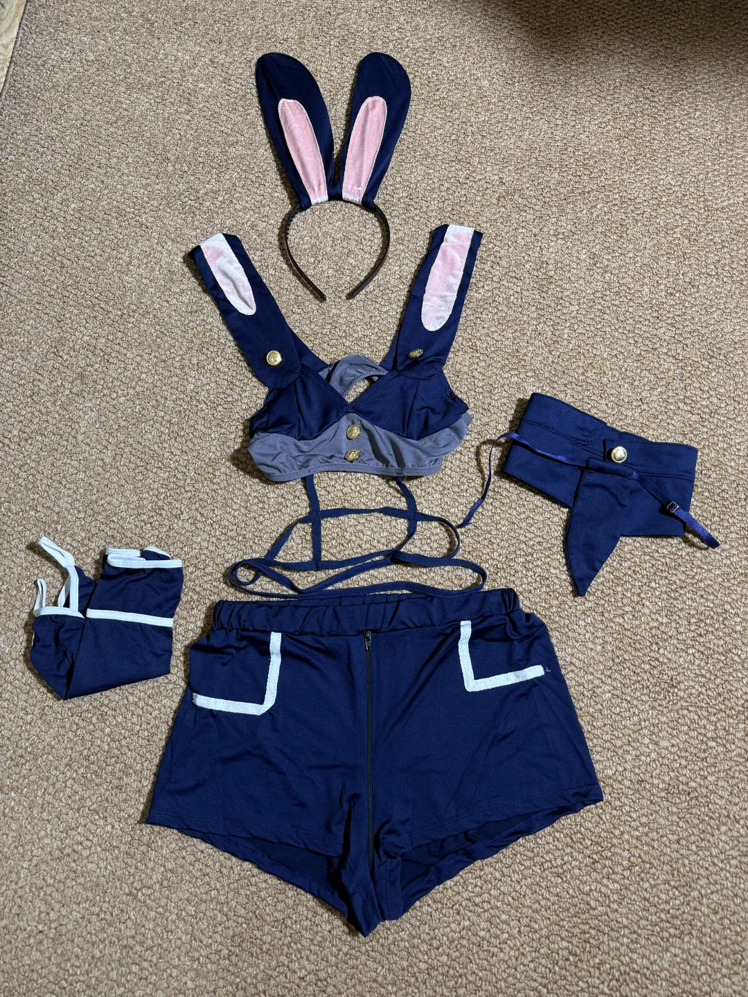 我家怎么来了只兔子警官？