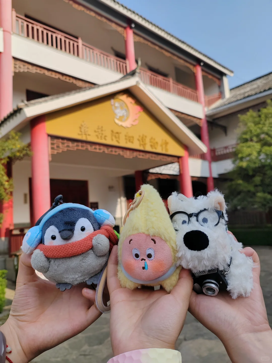 青春弥勒-城市全景推介会?