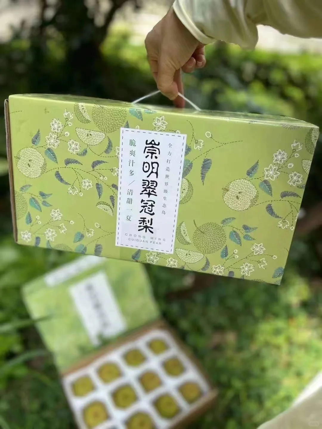 上海农展会爆款～崇明翠冠梨 友好市集