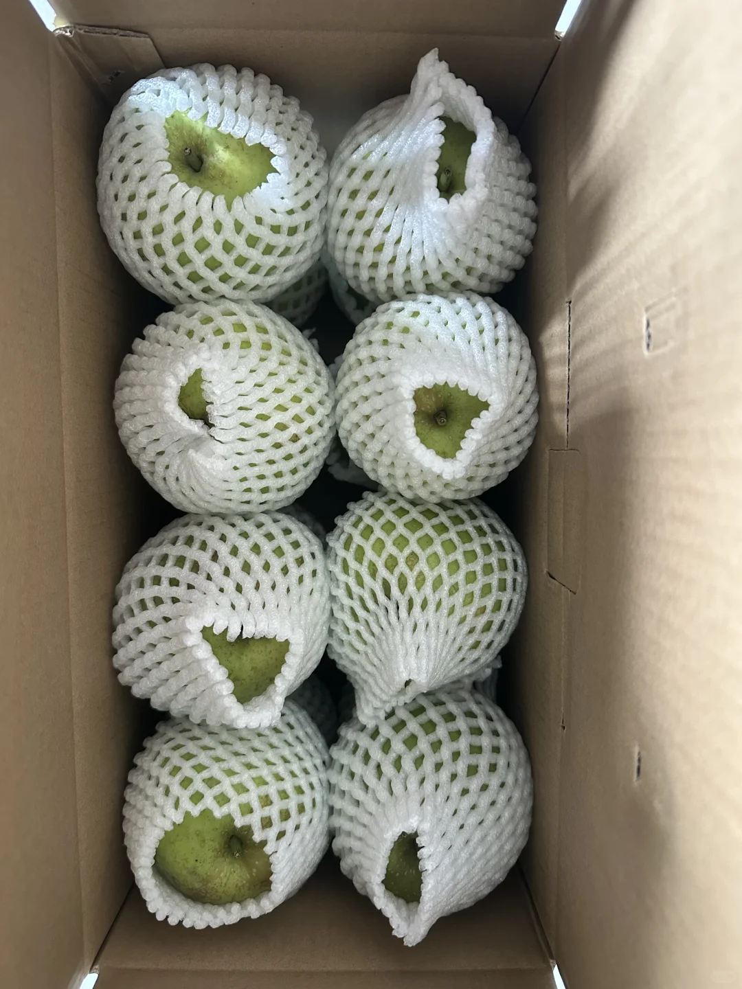 上海农展会爆款～崇明翠冠梨 友好市集