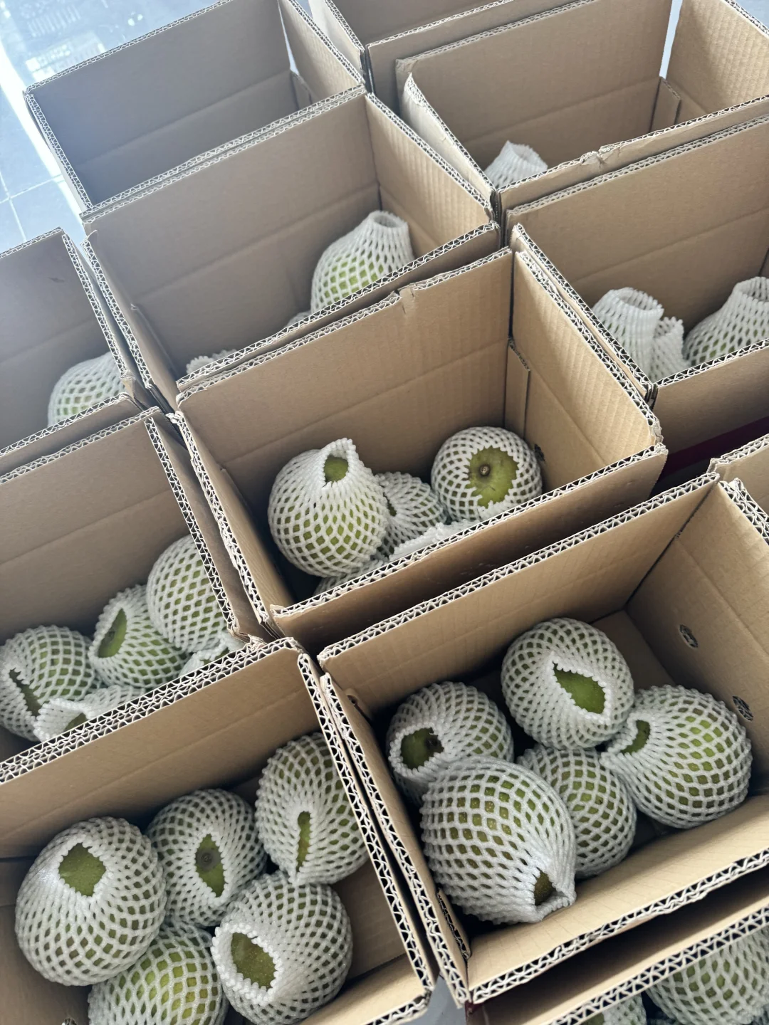 上海农展会爆款～崇明翠冠梨 友好市集