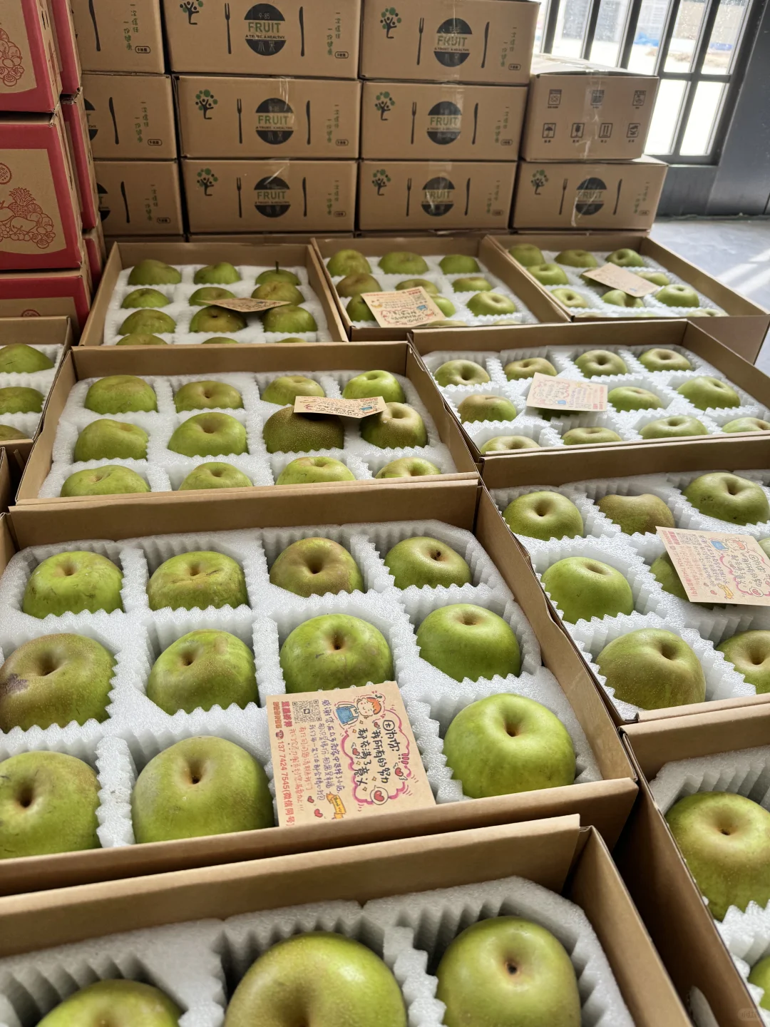 上海农展会爆款～崇明翠冠梨 友好市集