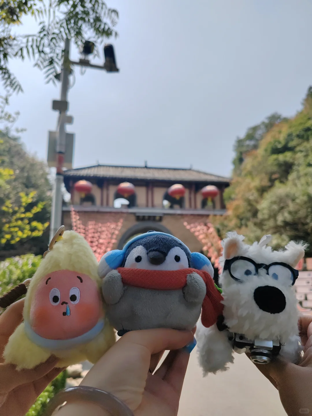 青春弥勒-城市全景推介会?