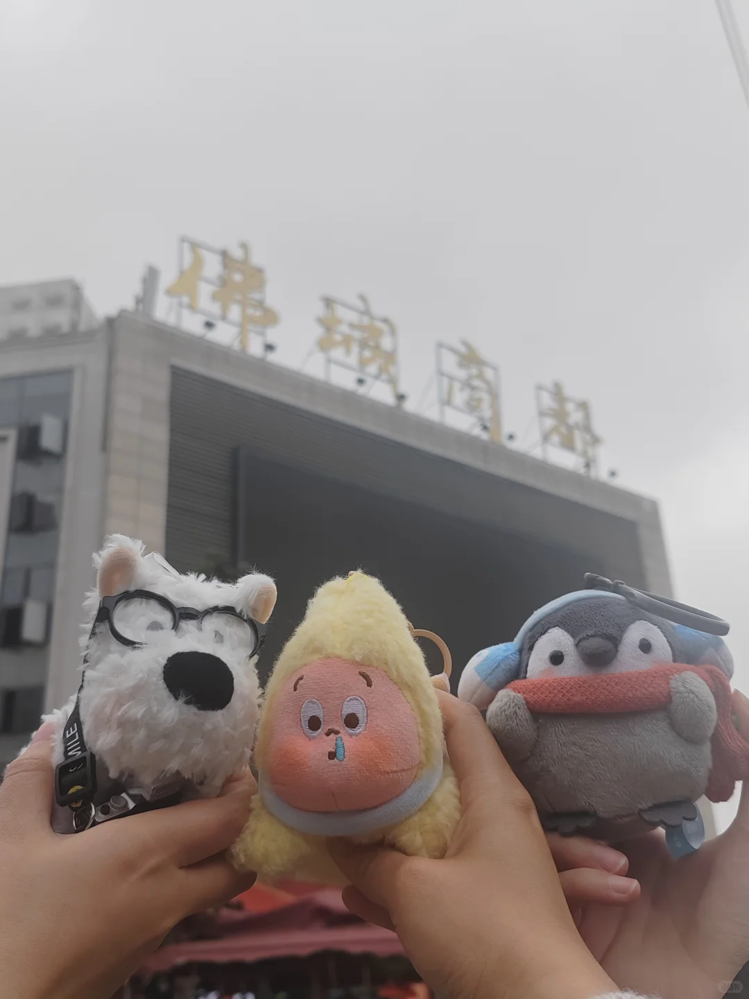 青春弥勒-城市全景推介会?