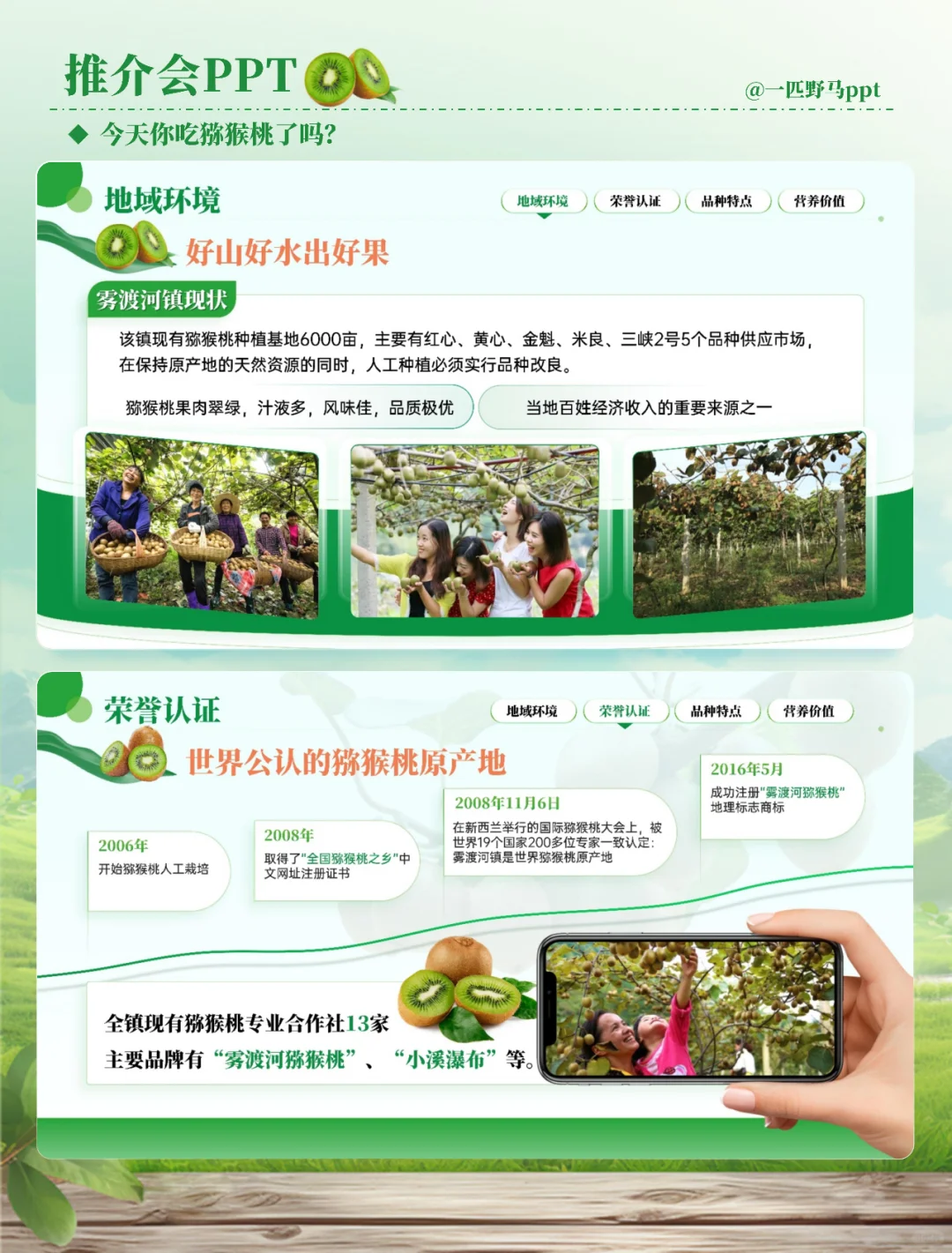 产品推介会PPT之猕猴桃?