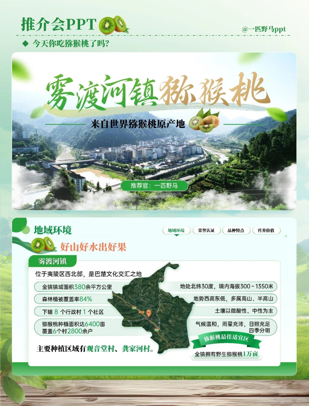 产品推介会PPT之猕猴桃?