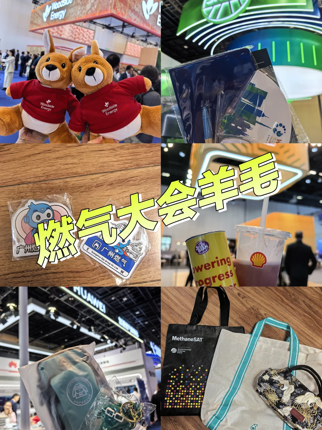 521世界燃气大会