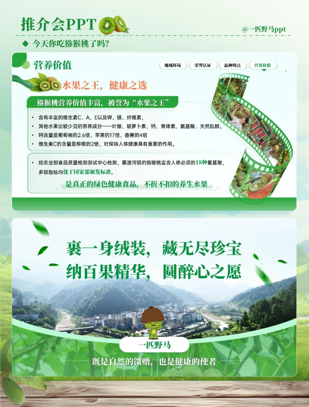 产品推介会PPT之猕猴桃?